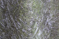 High Birstwith fibreglass roof work